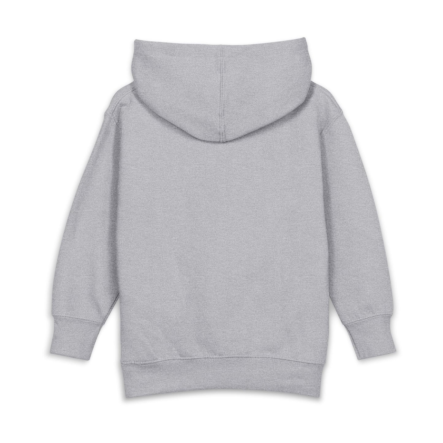 Toddler Hoodie — Cute Floral & Ladybug Pullover Fleece Heather