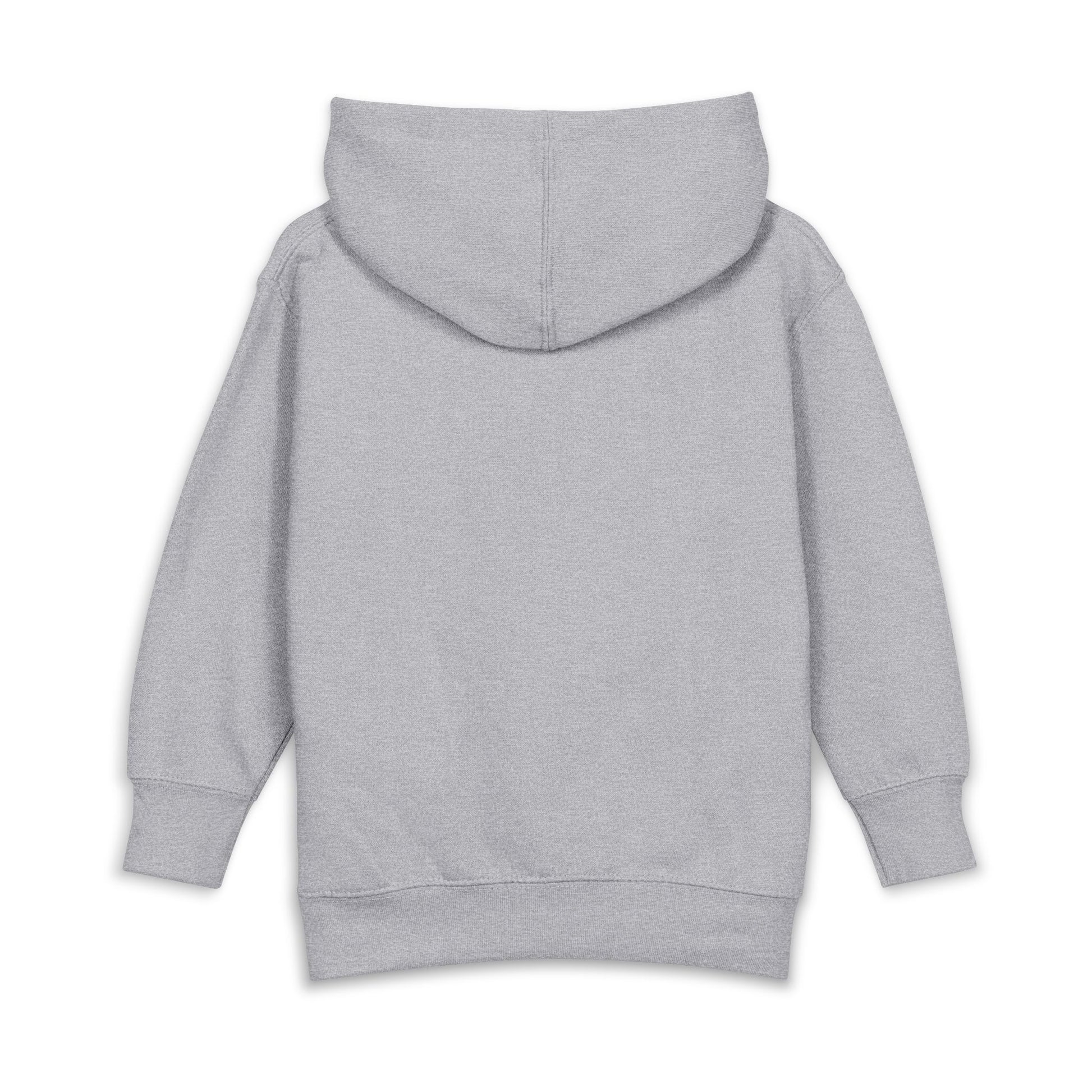 Toddler Hoodie — Cute Floral & Ladybug Pullover Fleece Heather